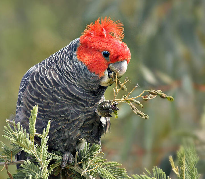 The fight to stop a sand mine – Media Alert