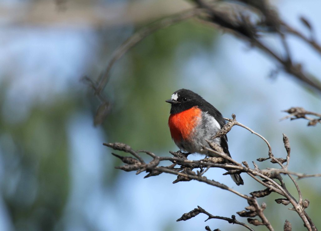 Withdrawn: Sutton Forest Sand Mine Application